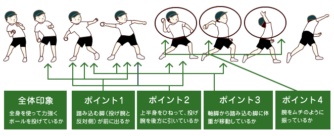 観察のポイント:投げる 全体印象 全身を使って力強くボールを投げているか ポイント1 踏み込む脚（投げ腕と反対側）が前に出るか ポイント2 上半身をひねって、投げ腕を後方に引いているか ポイント3 軸脚から踏み込む脚に体重が移動しているか ポイント4 腕をムチのように
振っているか