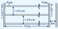 50メートルの直線路の図